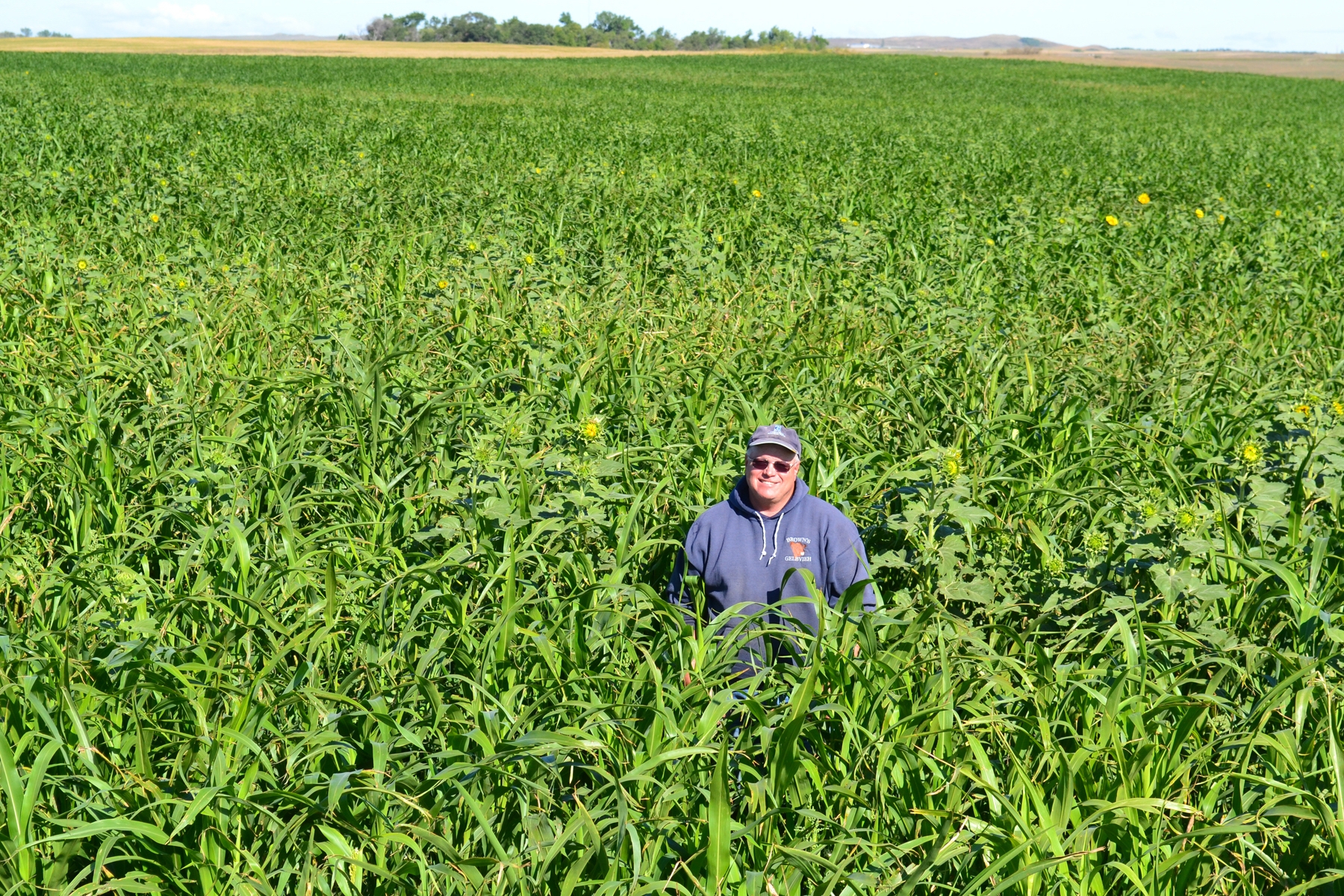 Gabe-Brown-in-cover-crop